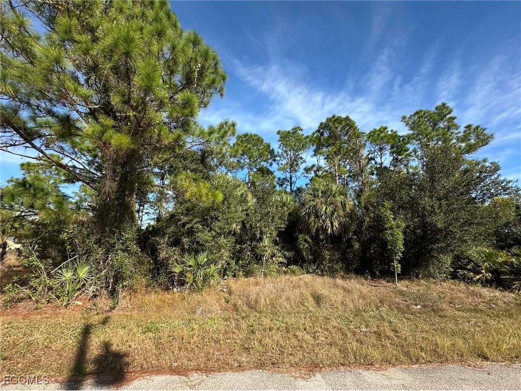 3416 39th Street SW Lehigh Acres FL 33976 2025024808 image2