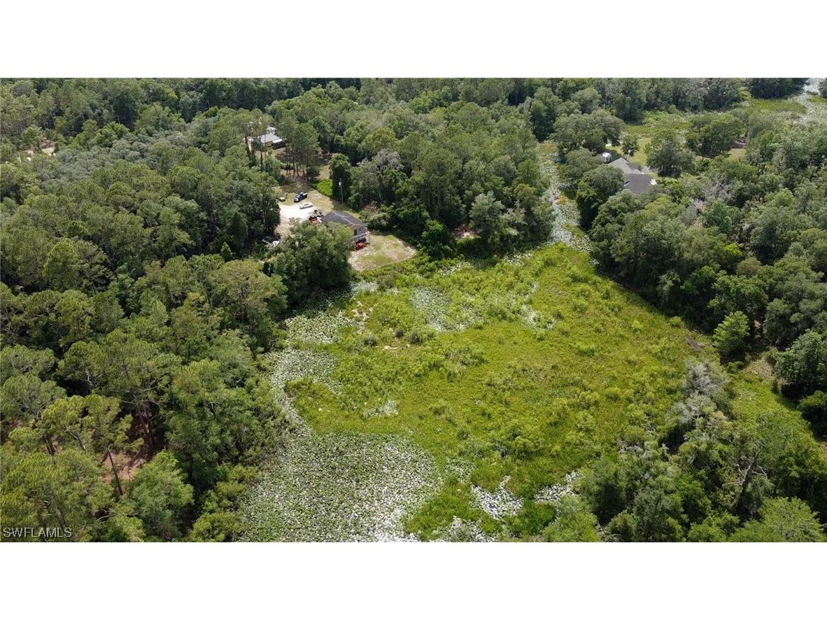 34160 Haas Drive Webster FL 33597 223041877 image2