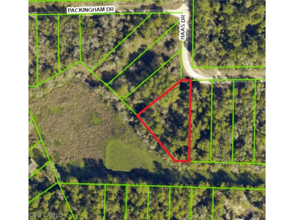 34160 Haas Drive Webster FL 33597 223041877 image3