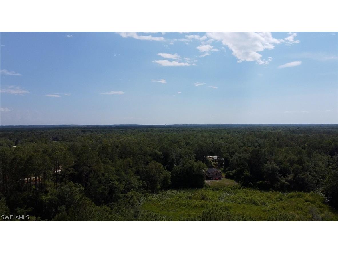 34160 Haas Drive Webster FL 33597 223041877 image5