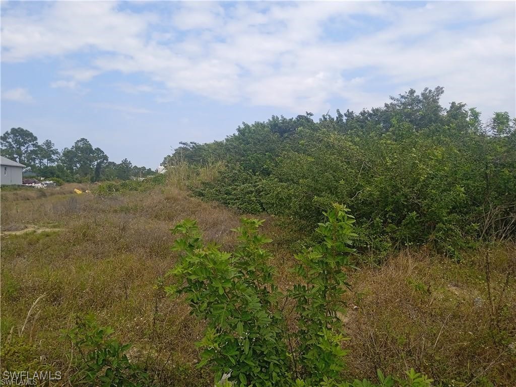 3418 11th Street SW Lehigh Acres FL 33976 225042788 image2