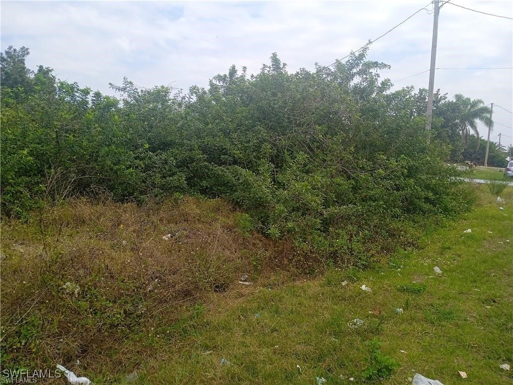 3418 11th Street SW Lehigh Acres FL 33976 225042788 image3