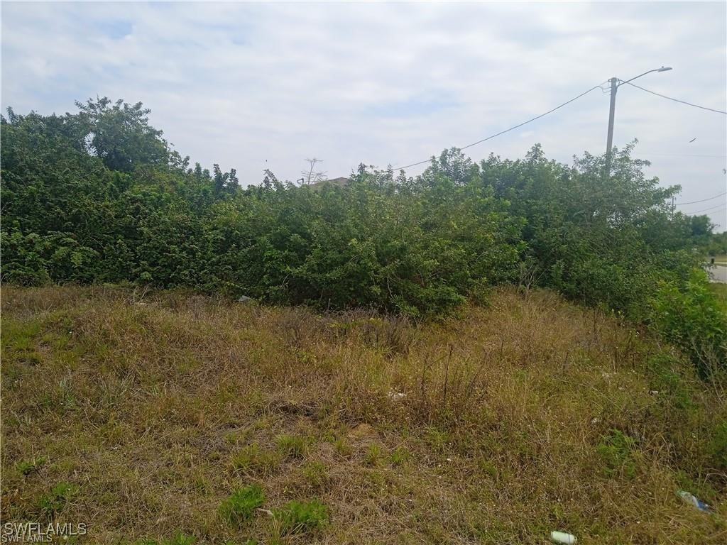 3418 11th Street SW Lehigh Acres FL 33976 225042788 image4