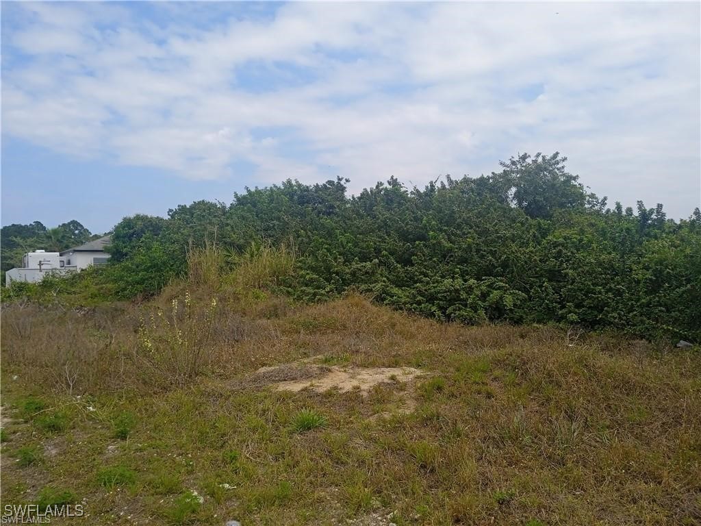 3418 11th Street SW Lehigh Acres FL 33976 225042788 image5