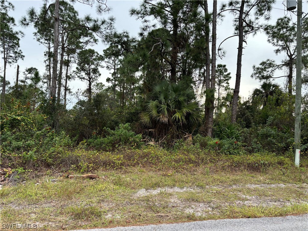 3419 75th Street W Lehigh Acres FL 33971 223087285 image1