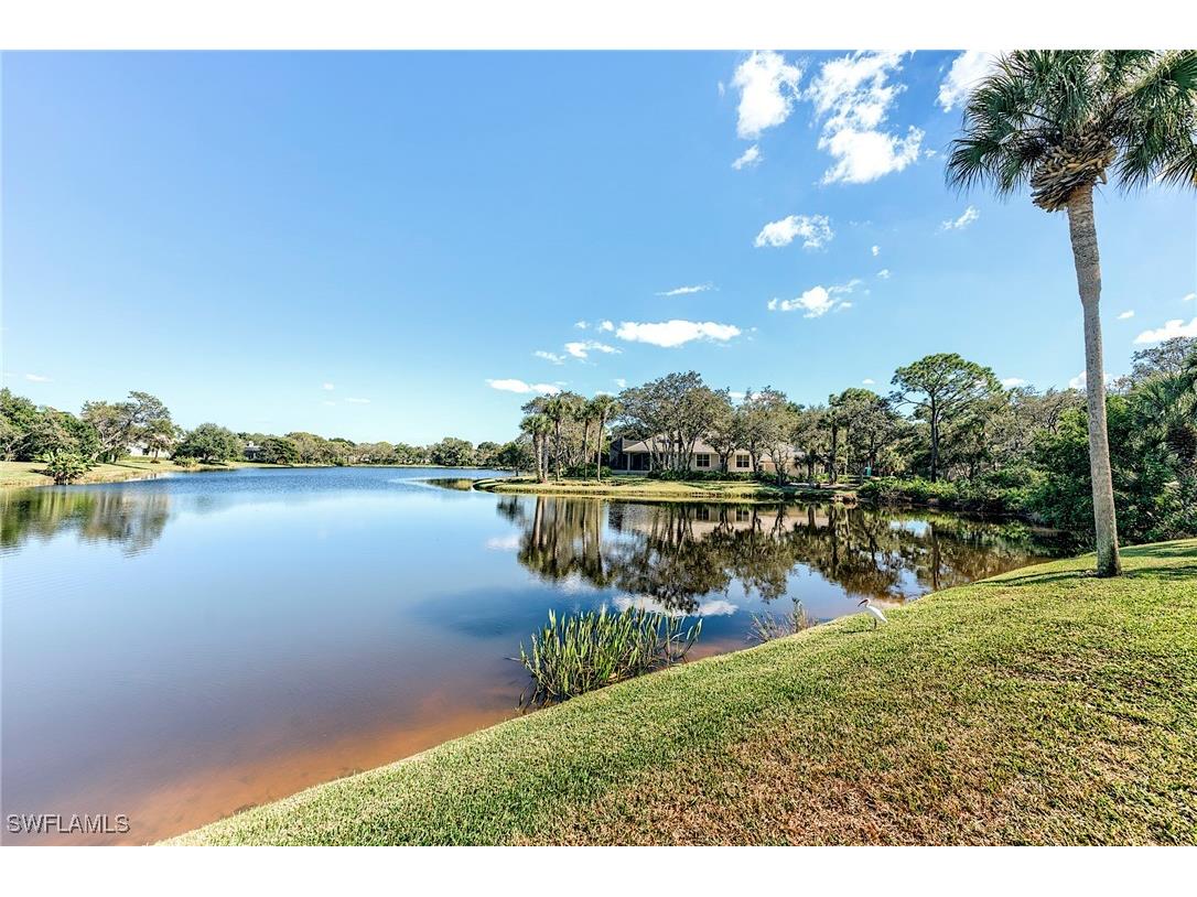 3420 Thornbury Lane Bonita Springs FL 34134 225079953 image35