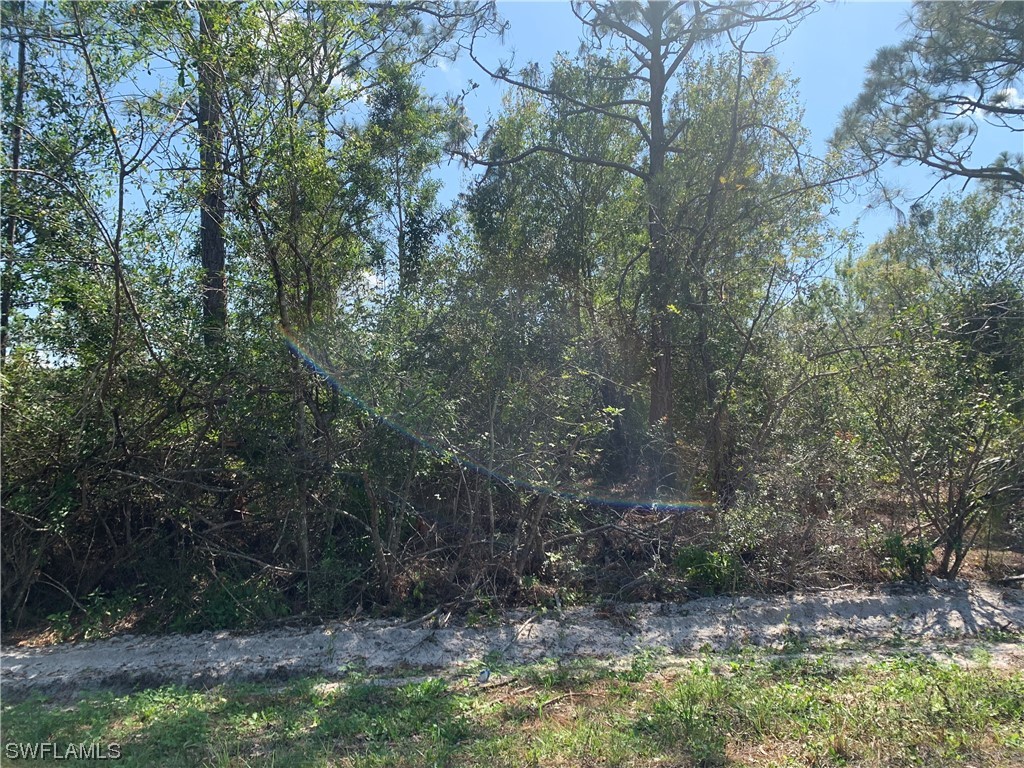 3421 57th Street W Lehigh Acres FL 33971 223023997 image1