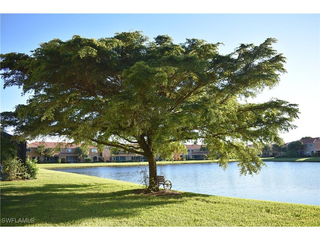 3424 Dandolo Circle Cape Coral FL 33909 225068228 image33