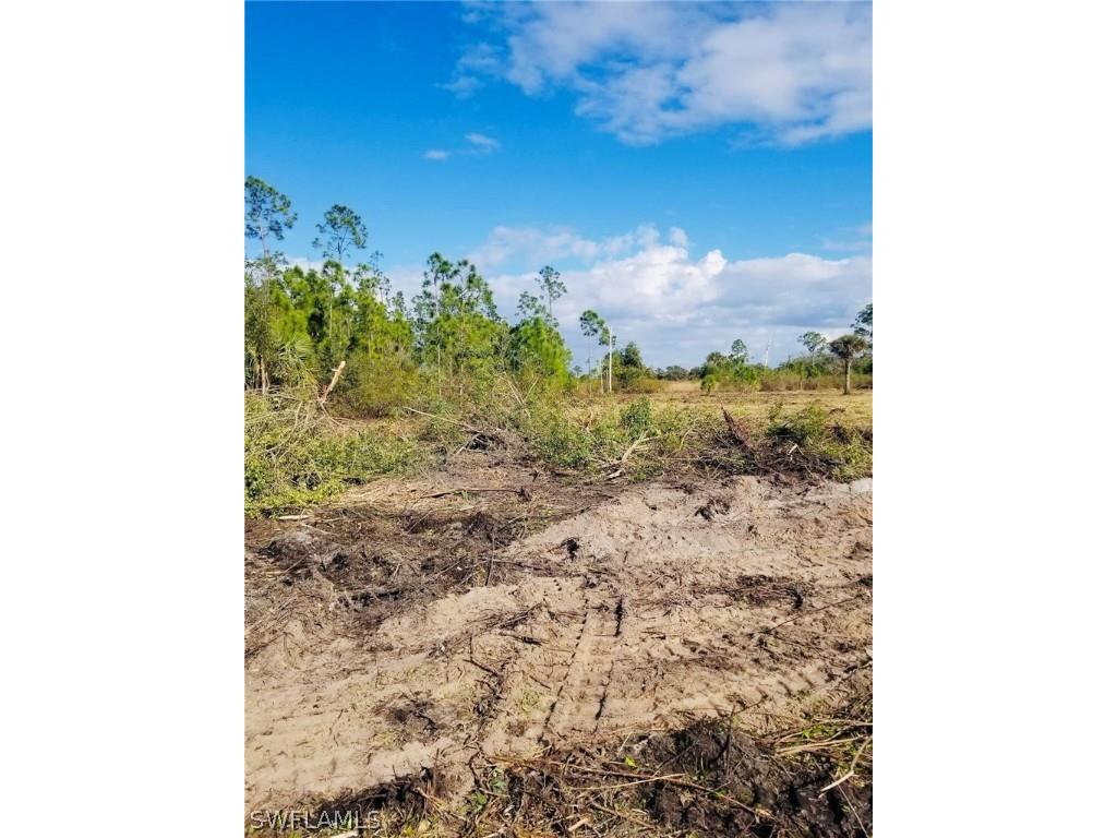 3425 Fernwood Lane Labelle FL 33935 223008854 image1