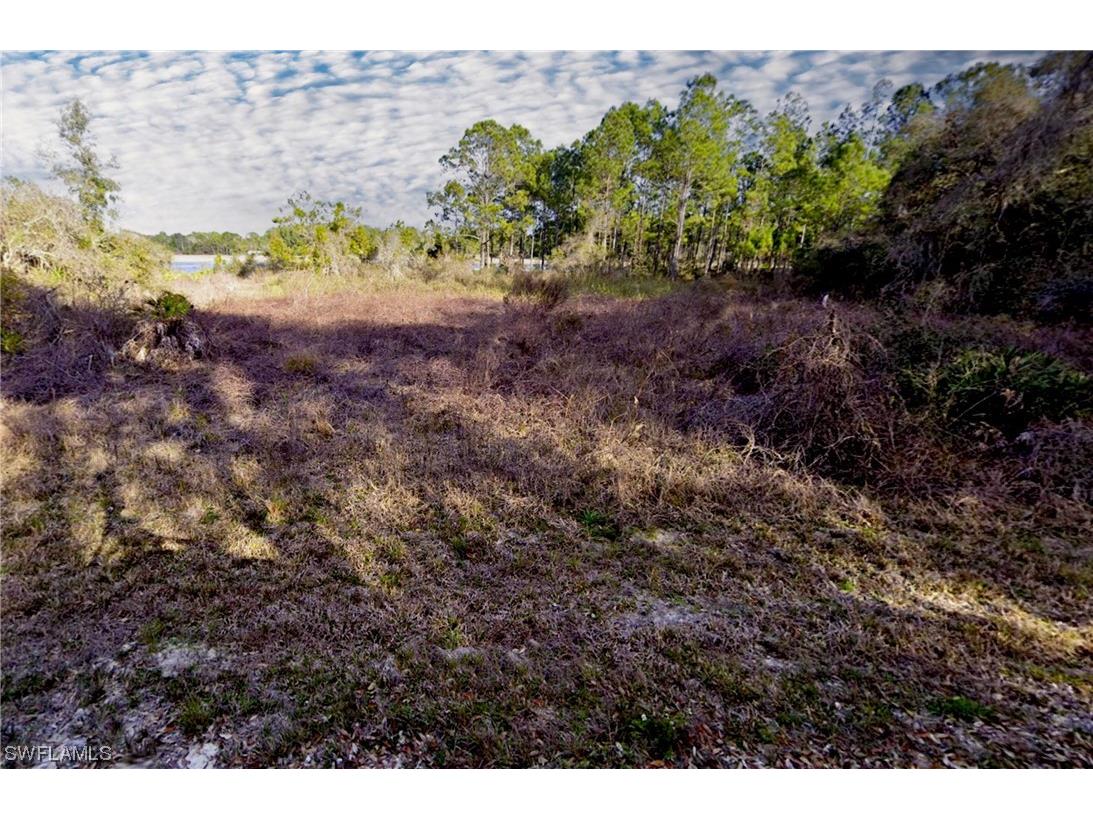 34258 Berryhill Drive Webster FL 33597 223045775 image1