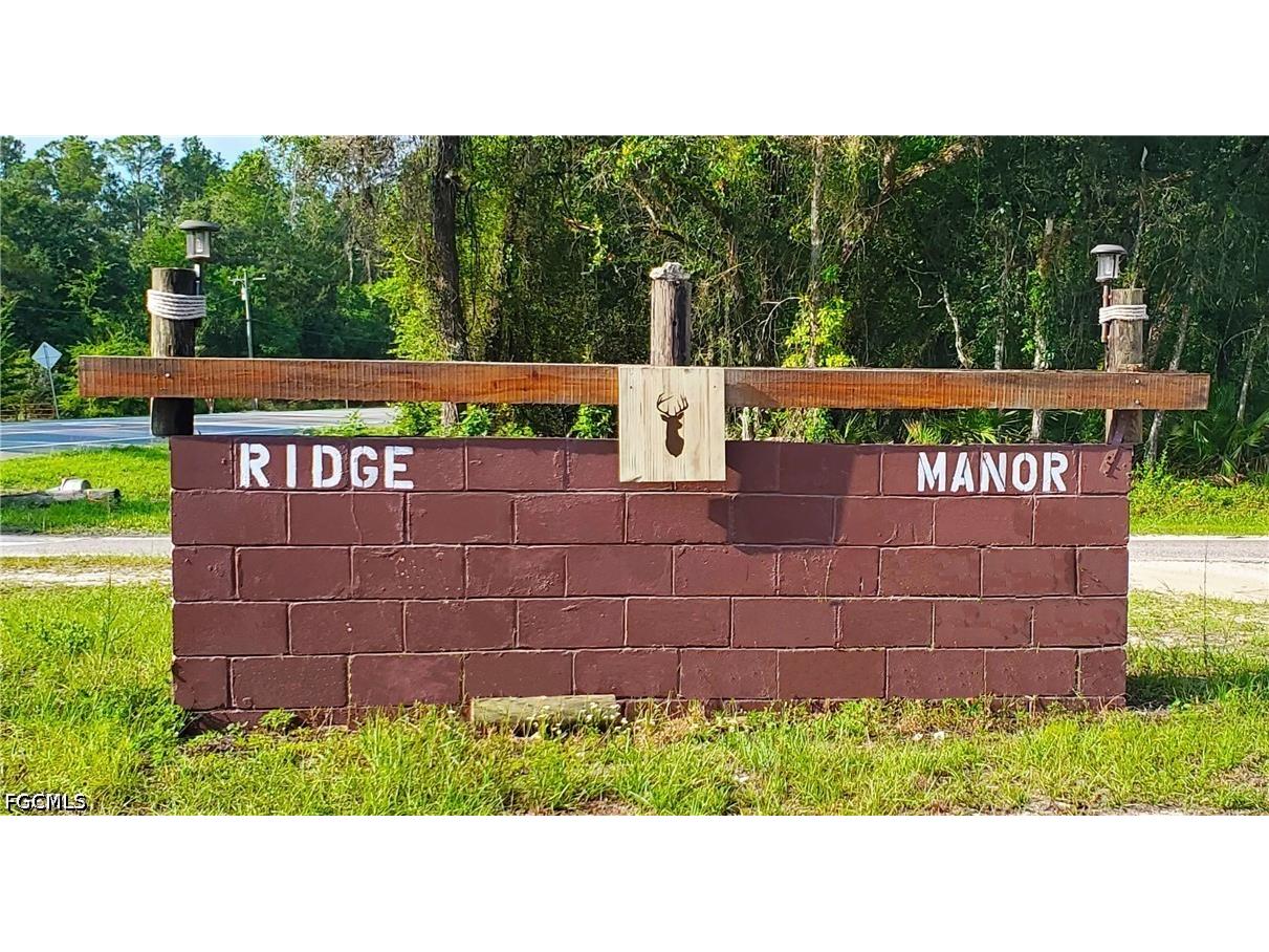 34287 Berryhill Drive Webster FL 33597 2026027848 image10