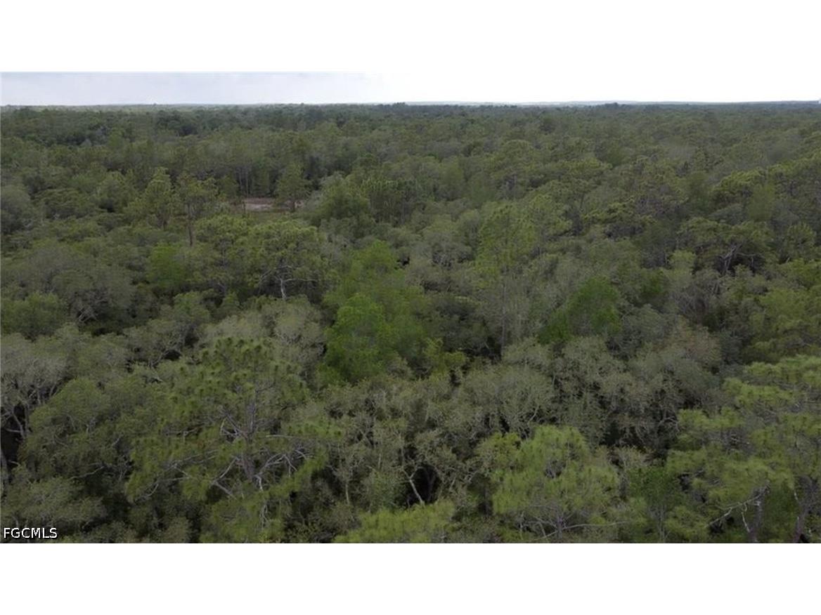 34287 Berryhill Drive Webster FL 33597 2026027848 image3