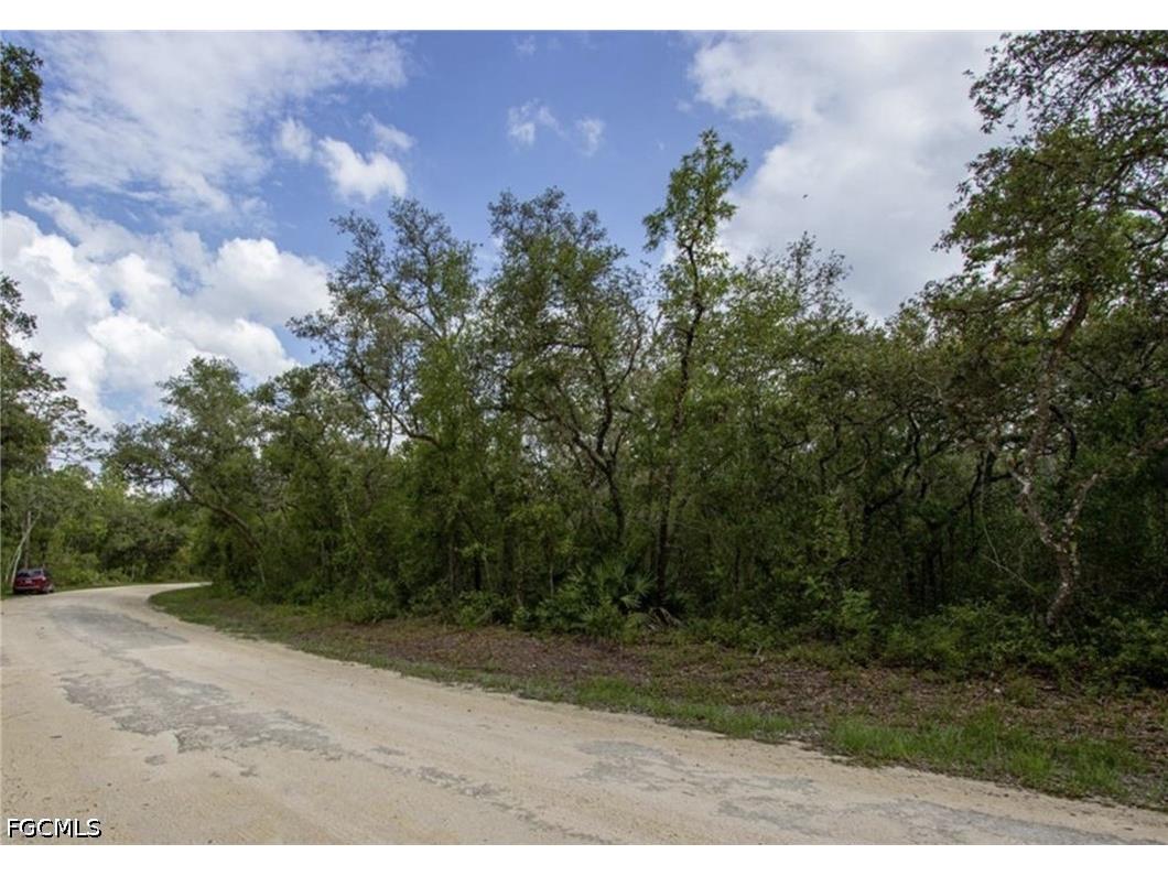 34287 Berryhill Drive Webster FL 33597 2026027848 image4