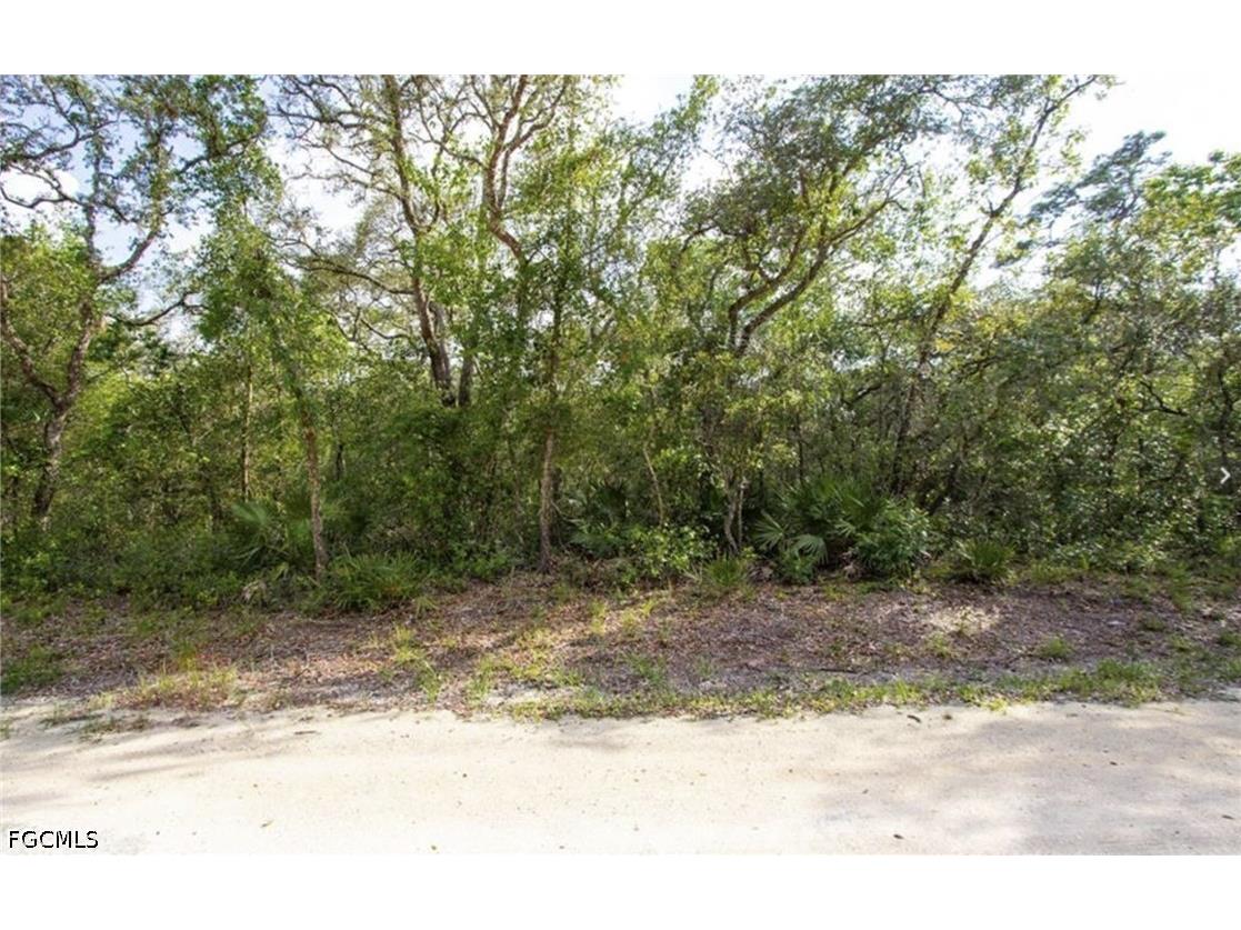 34287 Berryhill Drive Webster FL 33597 2026027848 image5