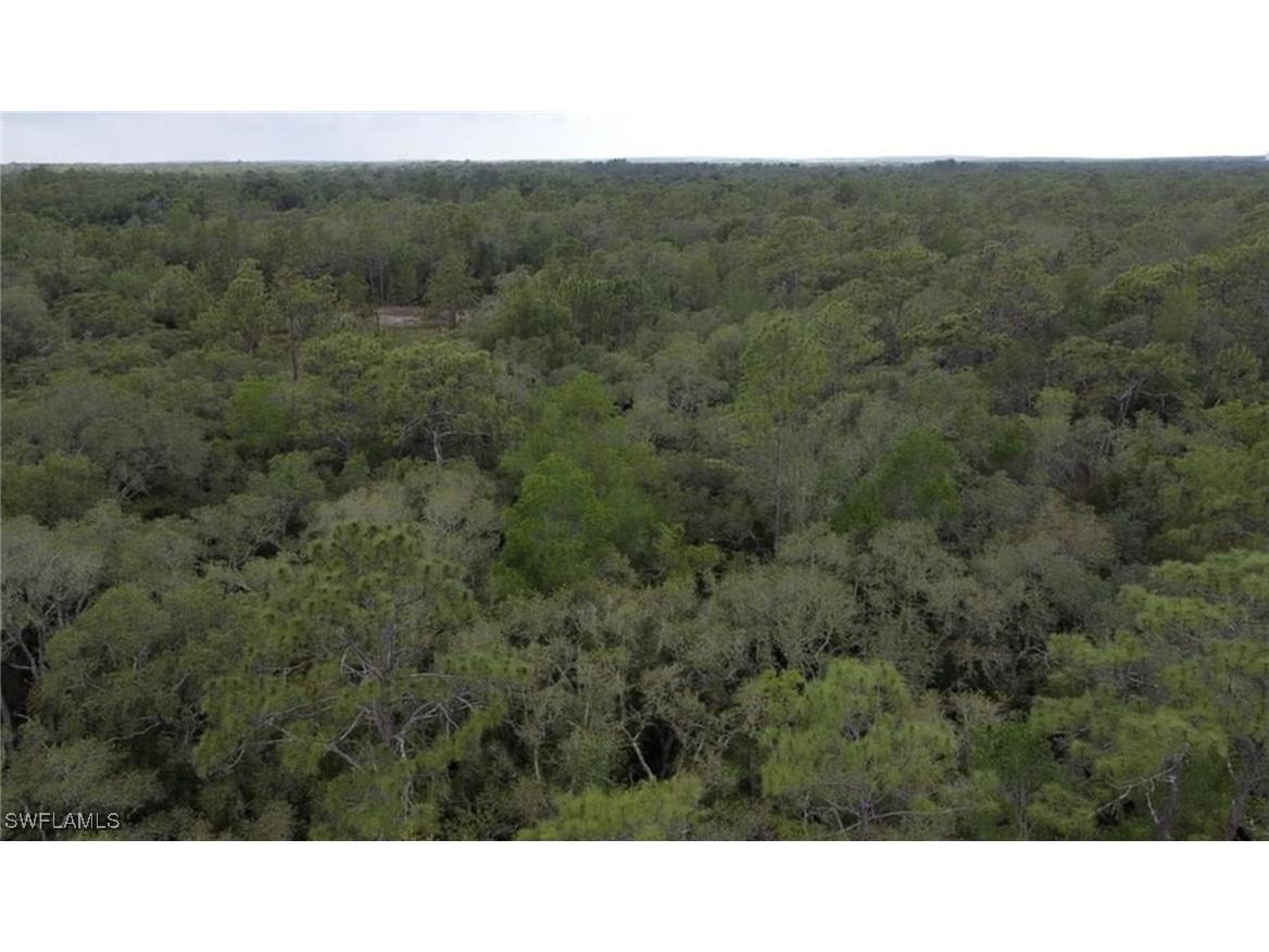 34287 Berryhill Drive Webster FL 33597 225053901 image2