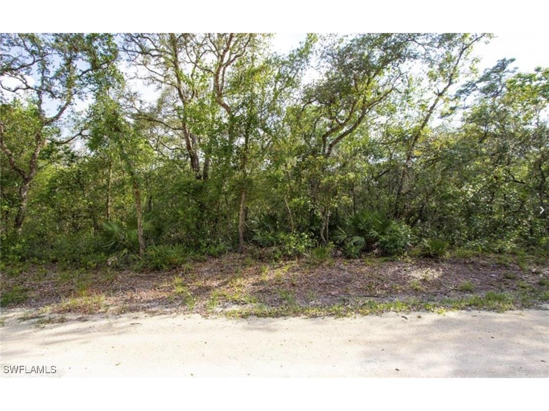 34287 Berryhill Drive Webster FL 33597 225053901 image4