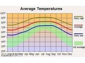 343 Pinehurst Avenue Lehigh Acres FL 33974 2025023137 image5