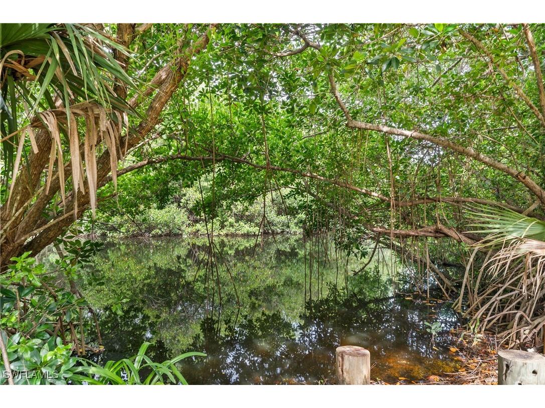 3431 Pointe Creek Court #104 Bonita Springs FL 34134 225069670 image24