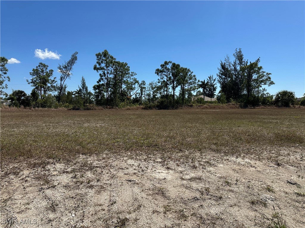 3433 NE 9th Avenue Cape Coral FL 33909 225029660 image1