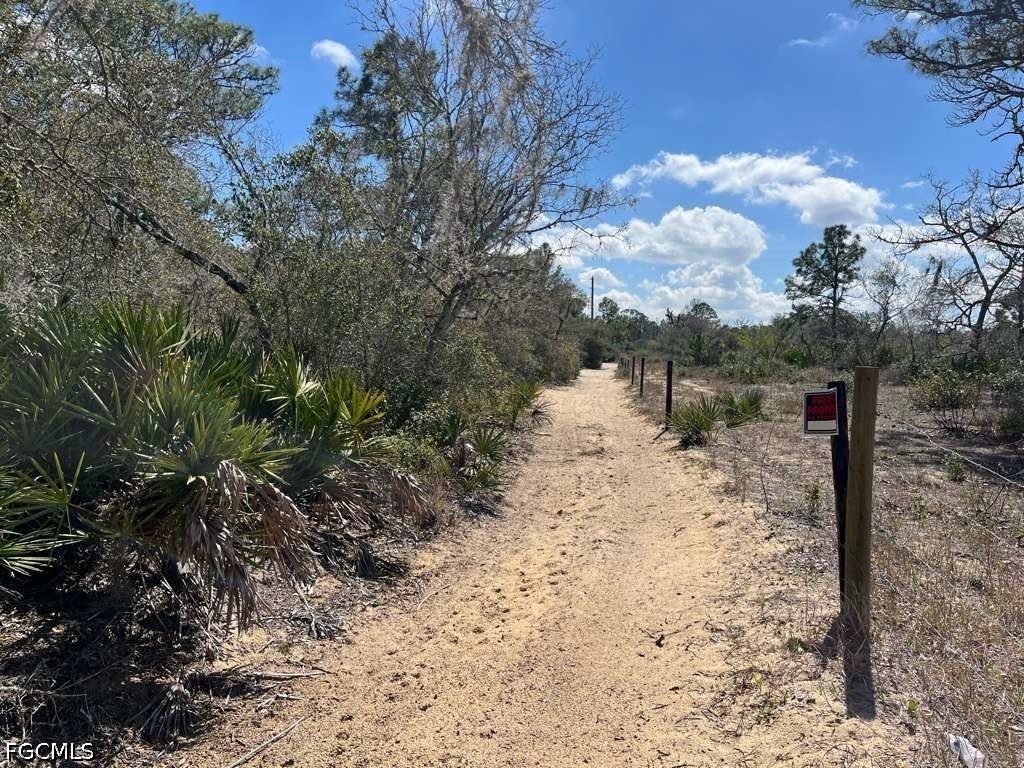 344 Rolling Hills Drive Lake Placid FL 33852 2026028181 image2