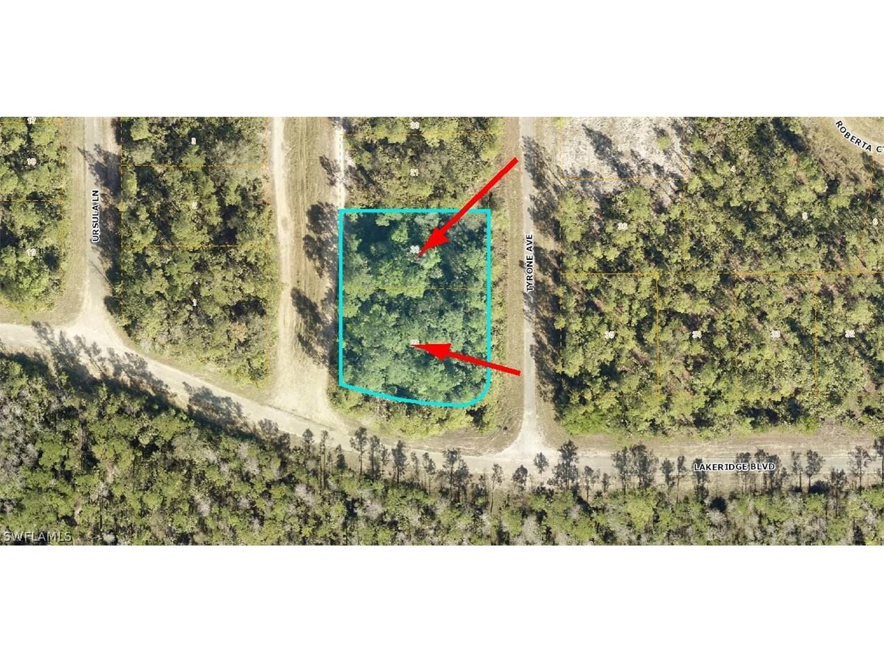 344 Tyrone Avenue Lehigh Acres FL 33972 222080131 image1