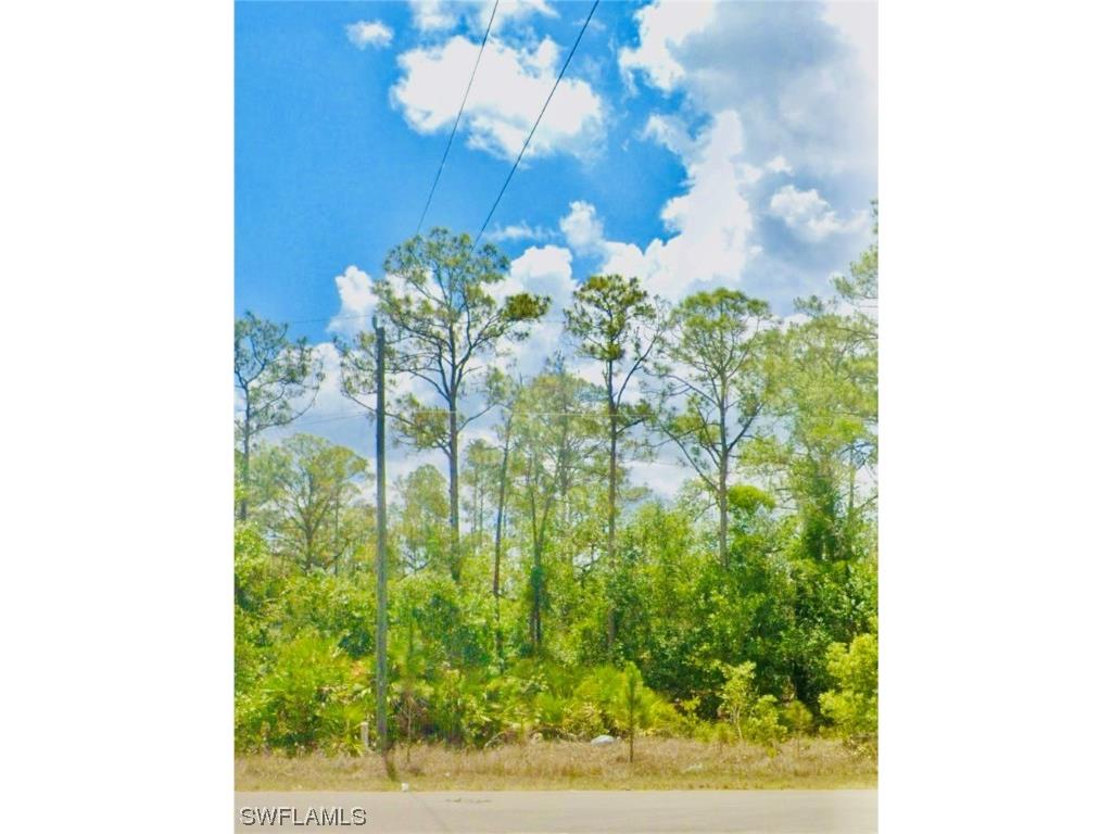 344 Urbana Street Lehigh Acres FL 33972 224023419 image1