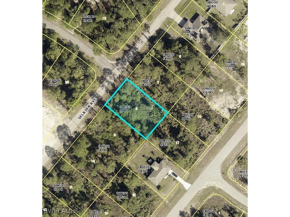 345 Selkirk Avenue Lehigh Acres FL 33974 224072015 image1