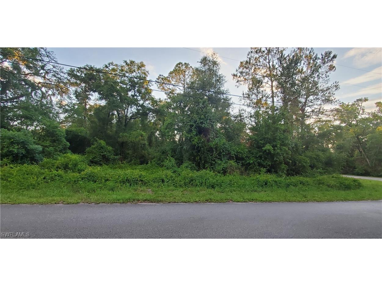 3451 Riverdale Drive Dade City FL 33523 223041869 image1