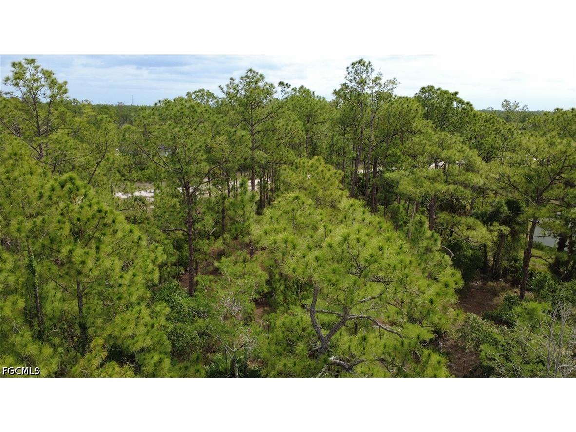 346 Sapphire Street Lehigh Acres FL 33972 2026024621 image18