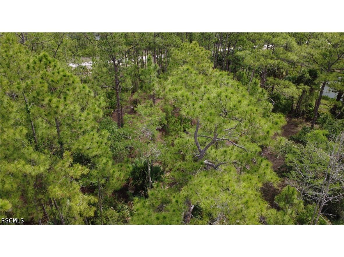 346 Sapphire Street Lehigh Acres FL 33972 2026024621 image19