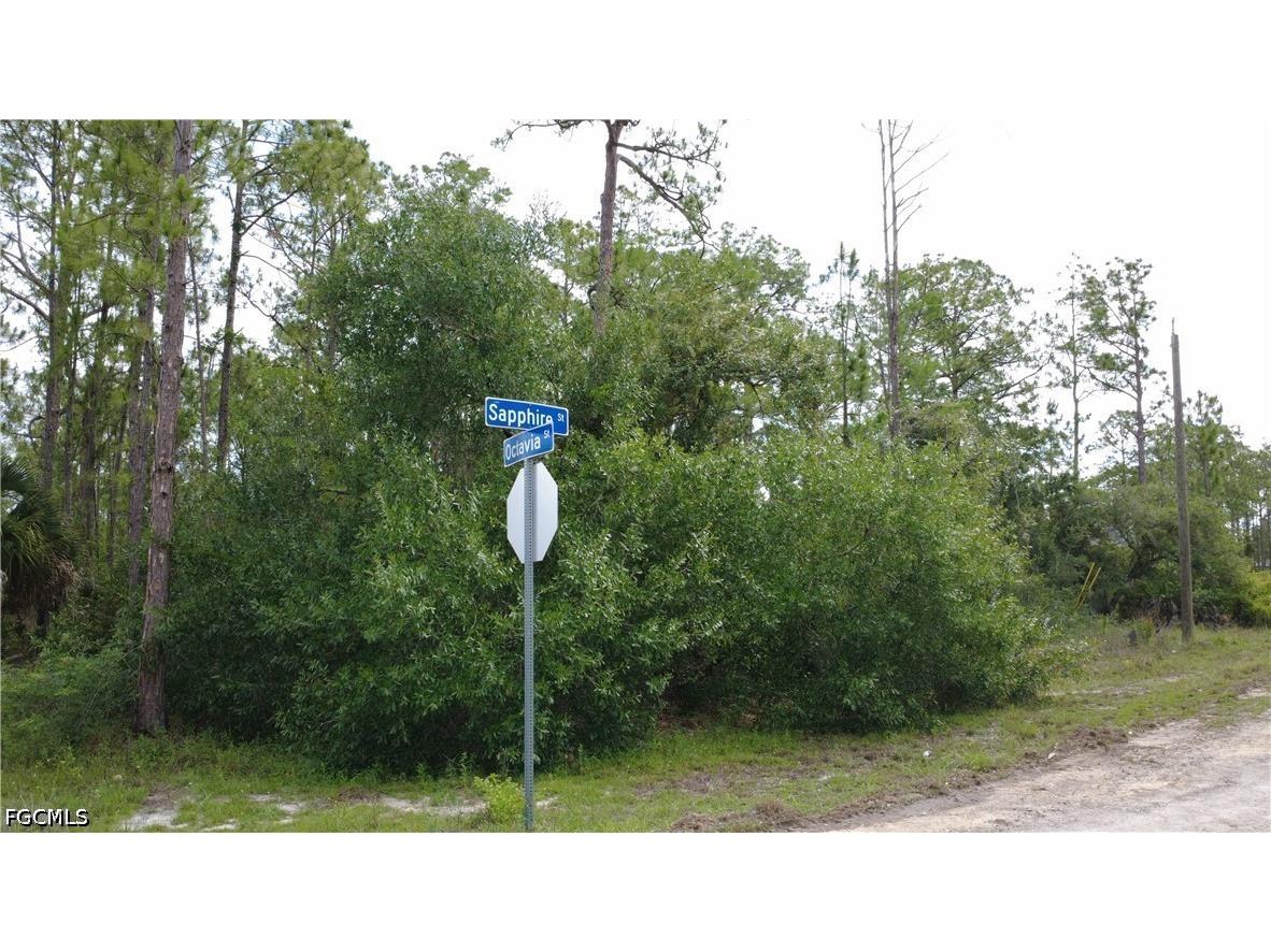 346 Sapphire Street Lehigh Acres FL 33972 2026024621 image2