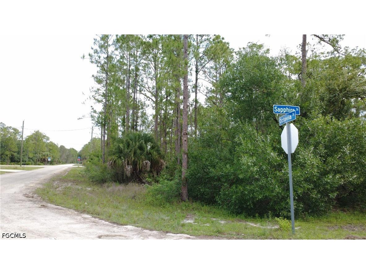 346 Sapphire Street Lehigh Acres FL 33972 2026024621 image3