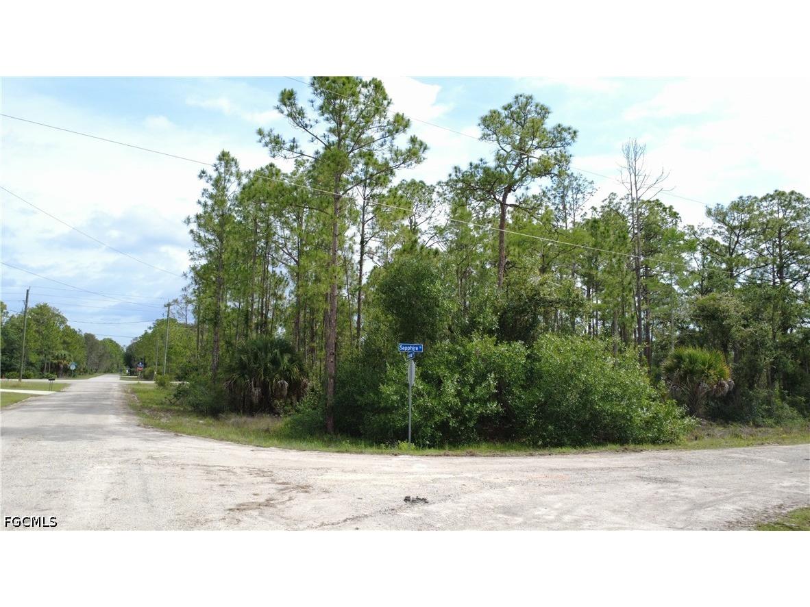 346 Sapphire Street Lehigh Acres FL 33972 2026024621 image7