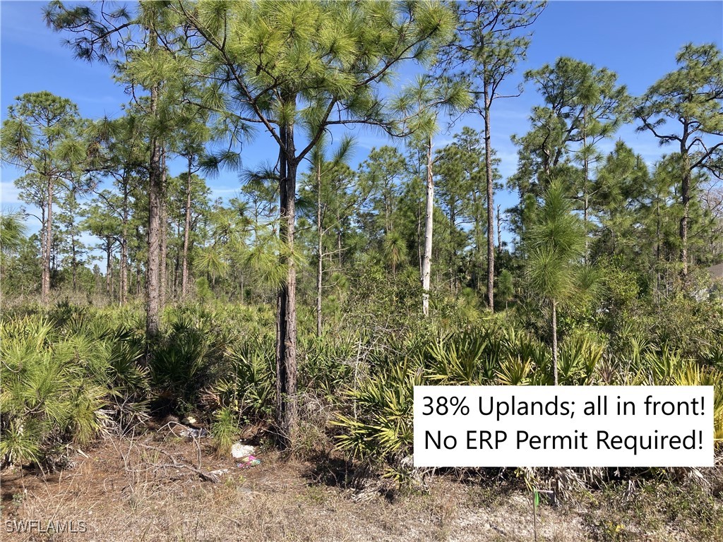 3461 (est.) 43rd Ave Ne Naples FL 34120 225020282 image1