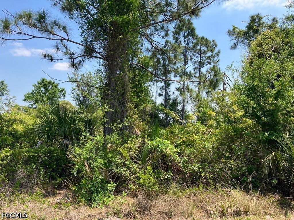 3468 Jennings Boulevard Port Charlotte FL 33981 2026017630 image3