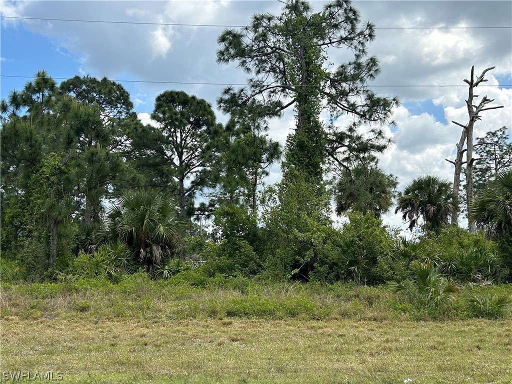 347 Columbus Boulevard S Lehigh Acres FL 33974 224027375 image1