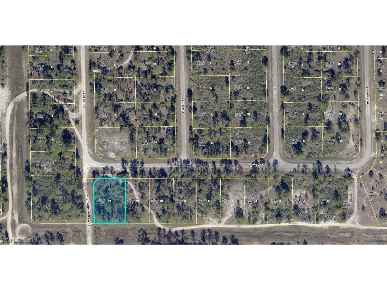 347 Mines Street Lehigh Acres FL 33972 223079286 image1