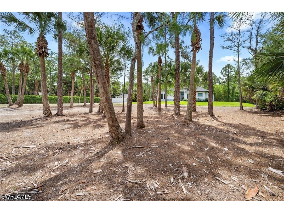 348 14th Avenue NE Naples FL 34120 226015026 image2