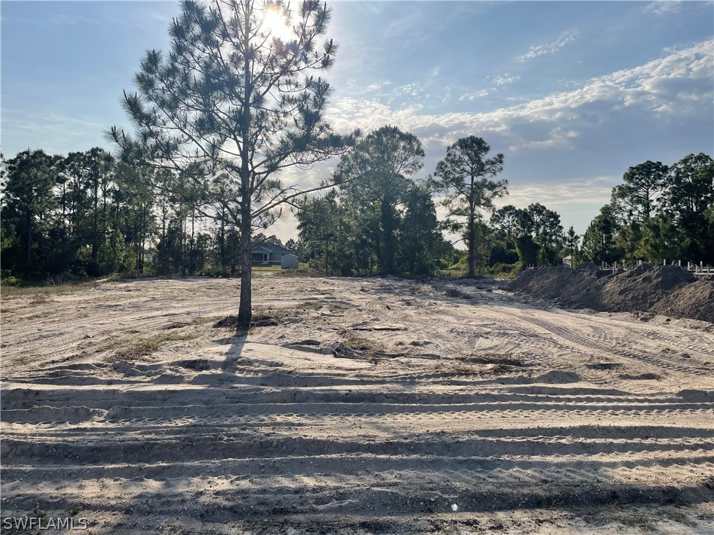 348 Paisley Avenue Lehigh Acres FL 33974 224031499 image1