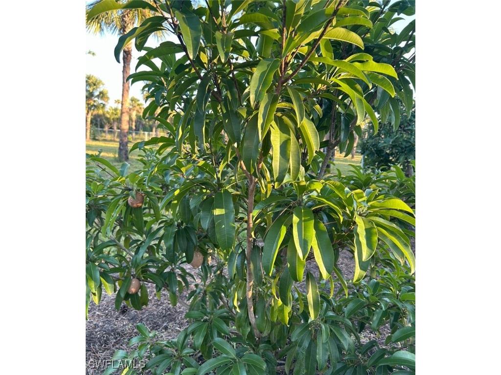 3486 40th Avenue SE Naples FL 34117 225075988 image47