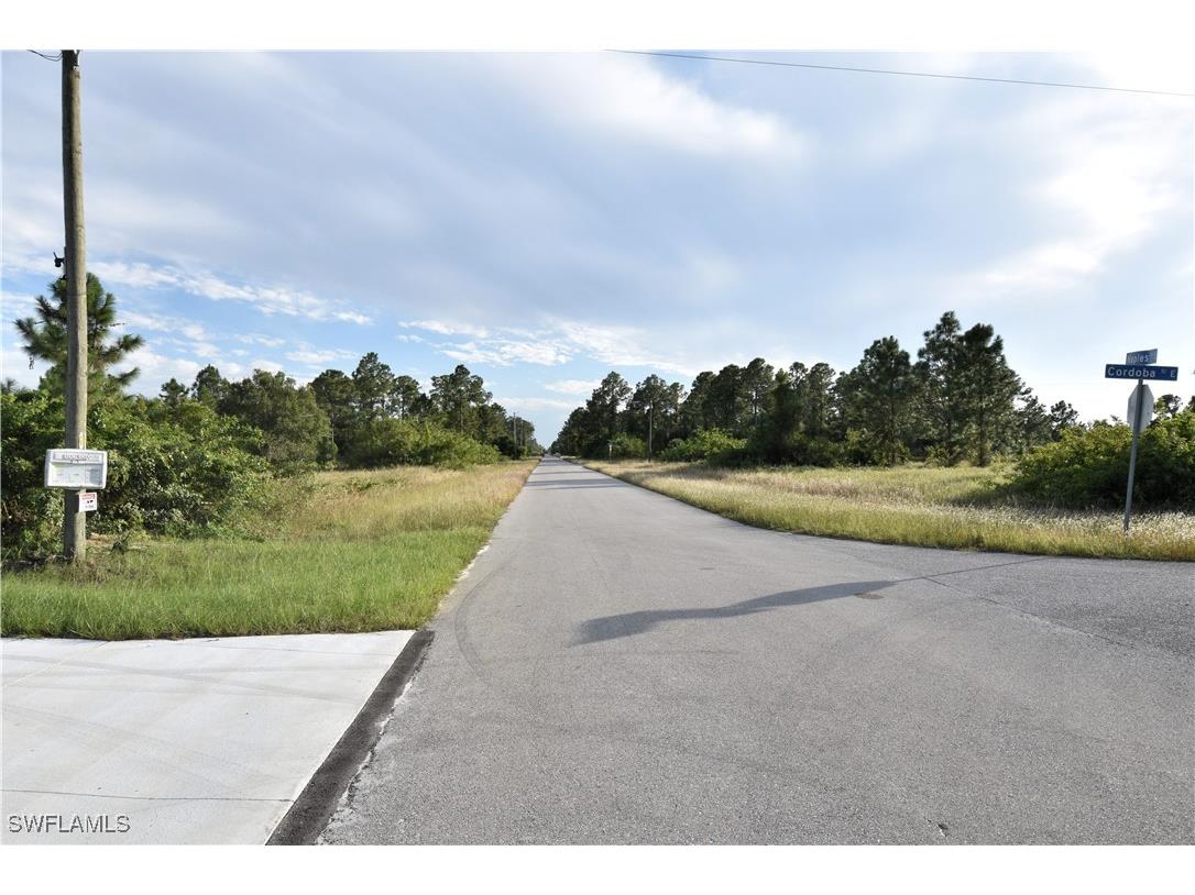 349 Naples Avenue S Lehigh Acres FL 33974 225069889 image22