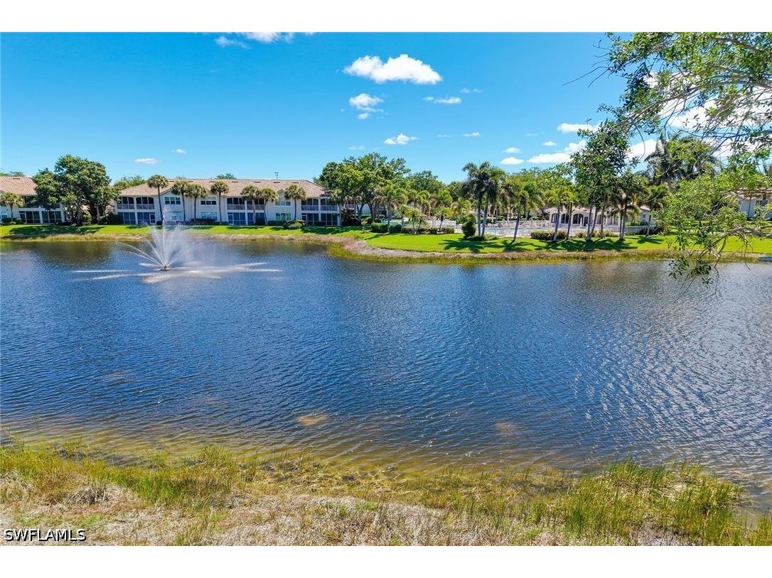 3491 Ballybridge Circle #203 Bonita Springs FL 34134 226014853 image37