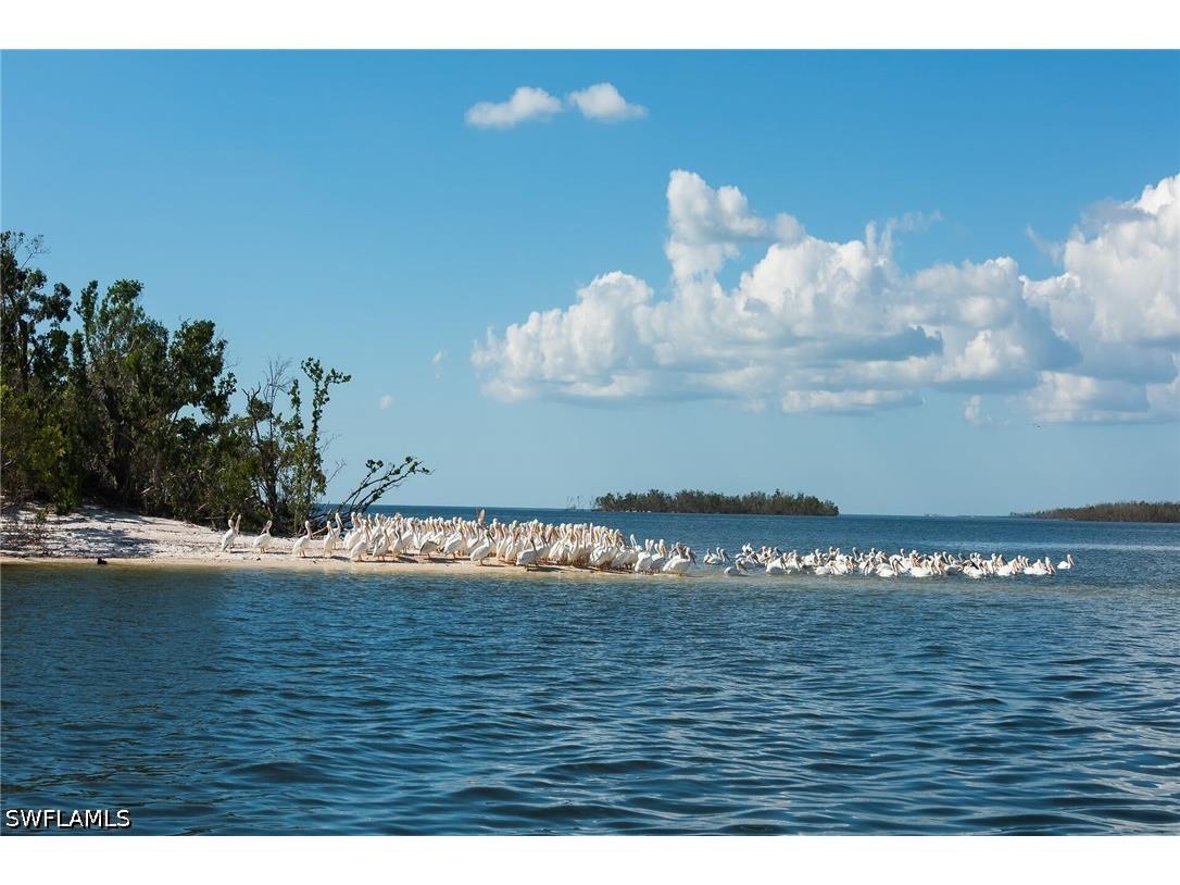 350 Newport Drive #1905 Naples FL 34114 226020316 image40