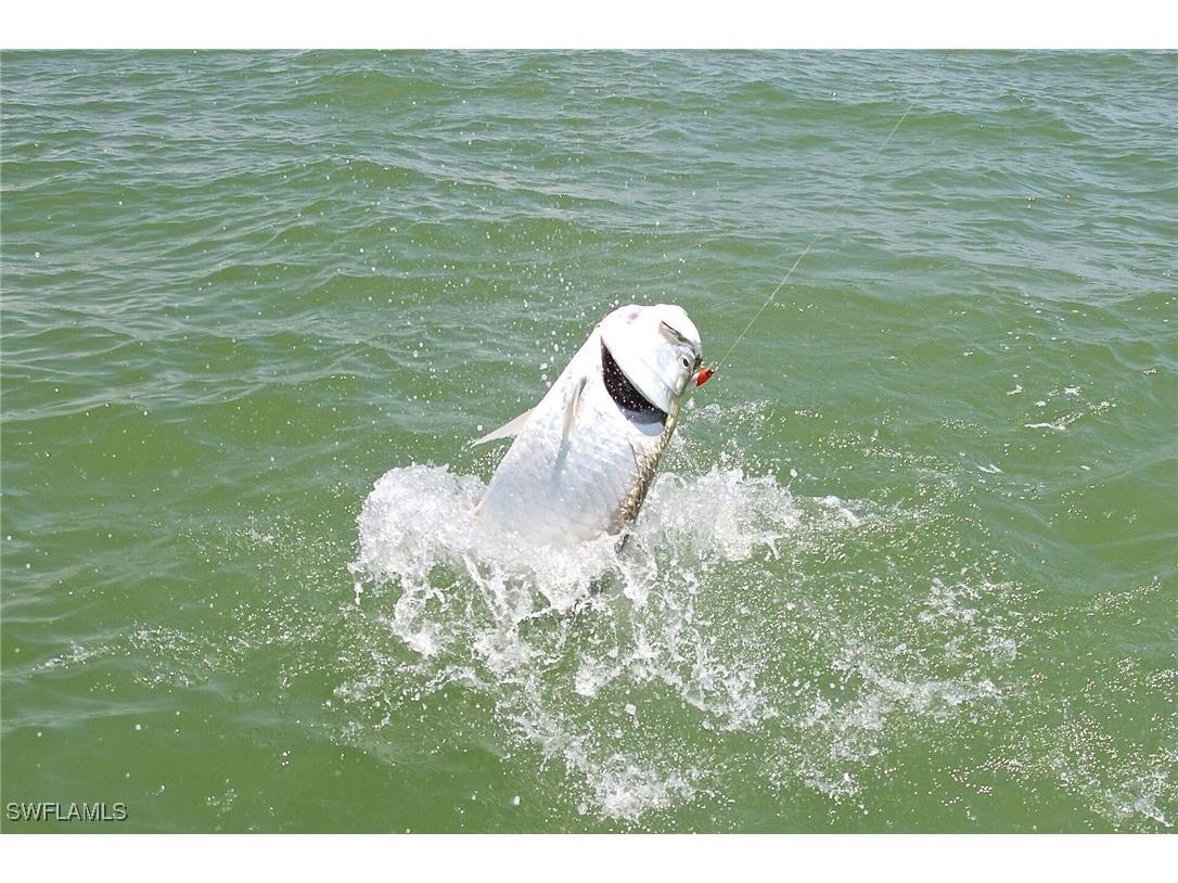 350 Newport Drive #1906 Naples FL 34114 225082288 image42