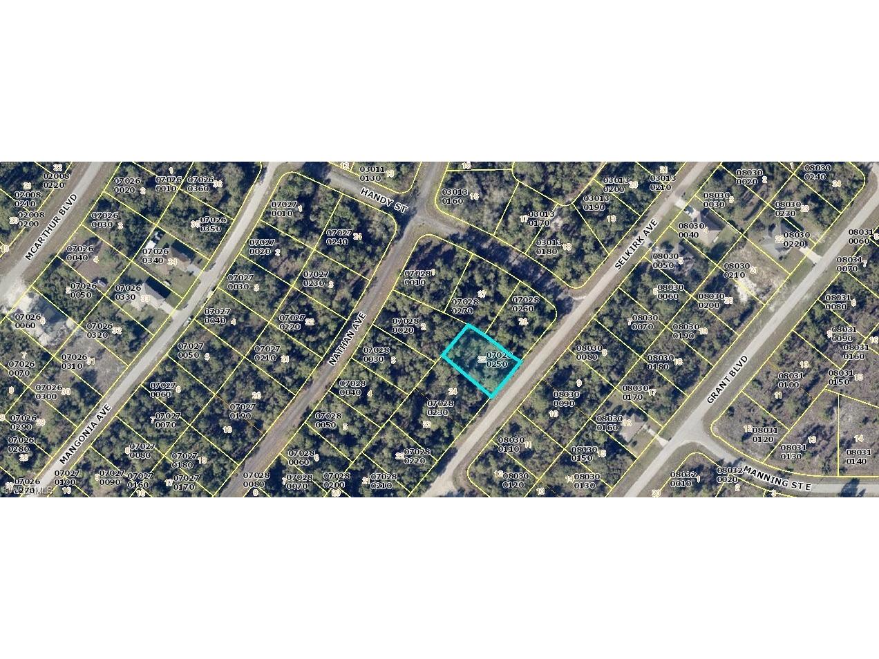 350 Selkirk Avenue Lehigh Acres FL 33974 223065830 image1