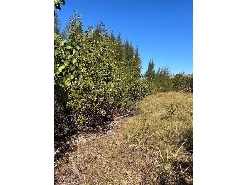 3500 Tropical Point Drive Saint James City FL 33956 2026006771 image3