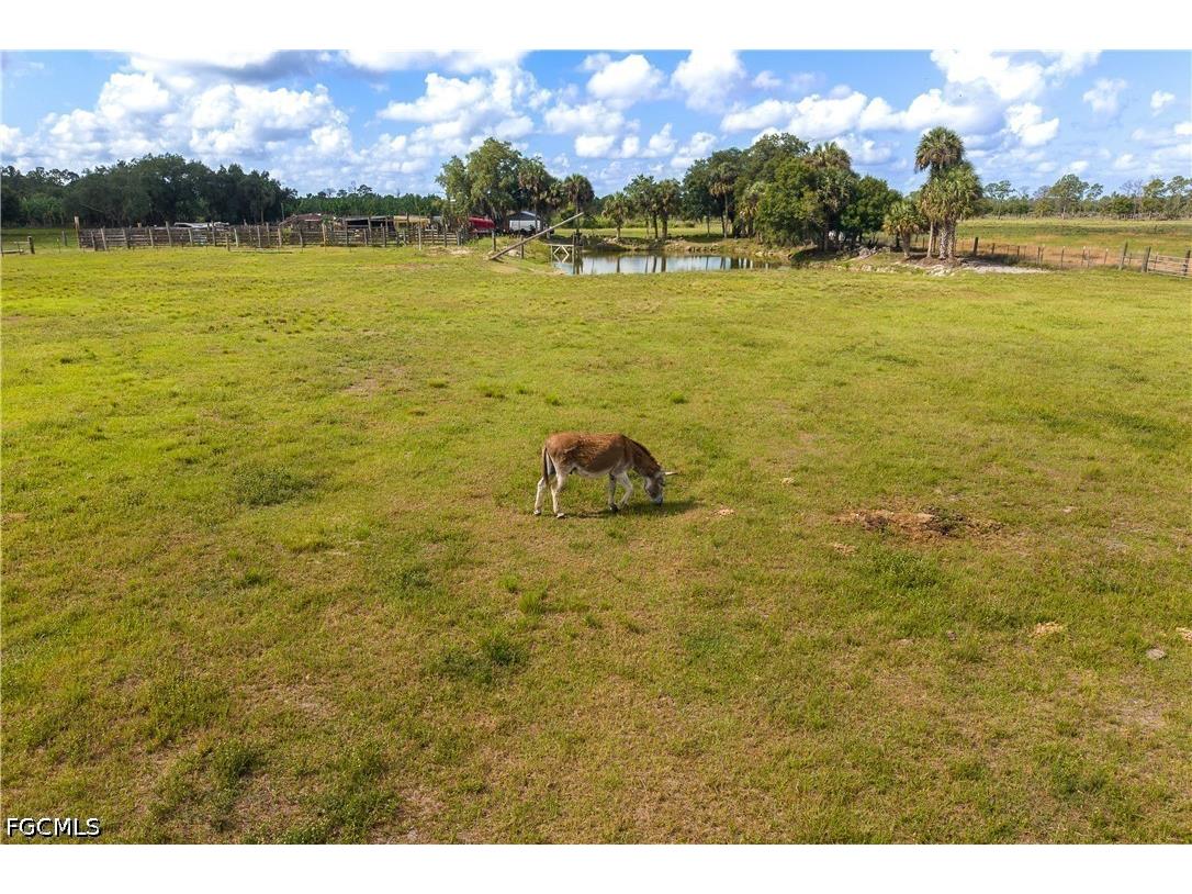 3501 Everhigh Acres Road Clewiston FL 33440 2026023365 image50