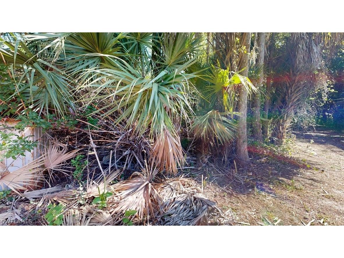 3501 White Boulevard Naples FL 34117 226012068 image39