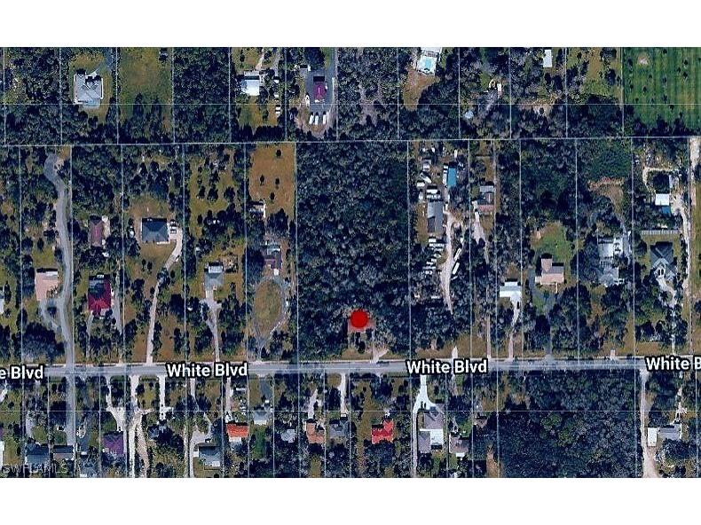 3501 White Boulevard Naples FL 34117 226012068 image5