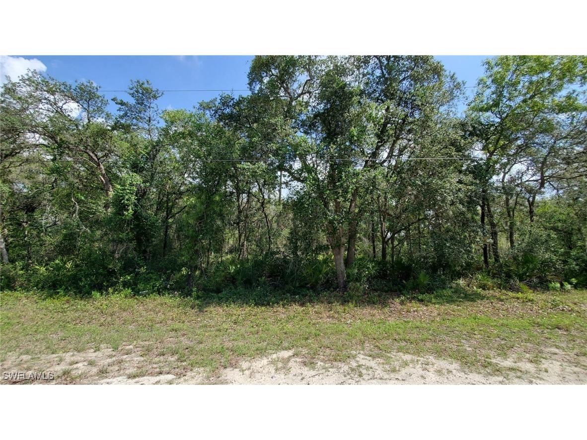 35017 Primrose Lane Webster FL 33597 225053906 image1